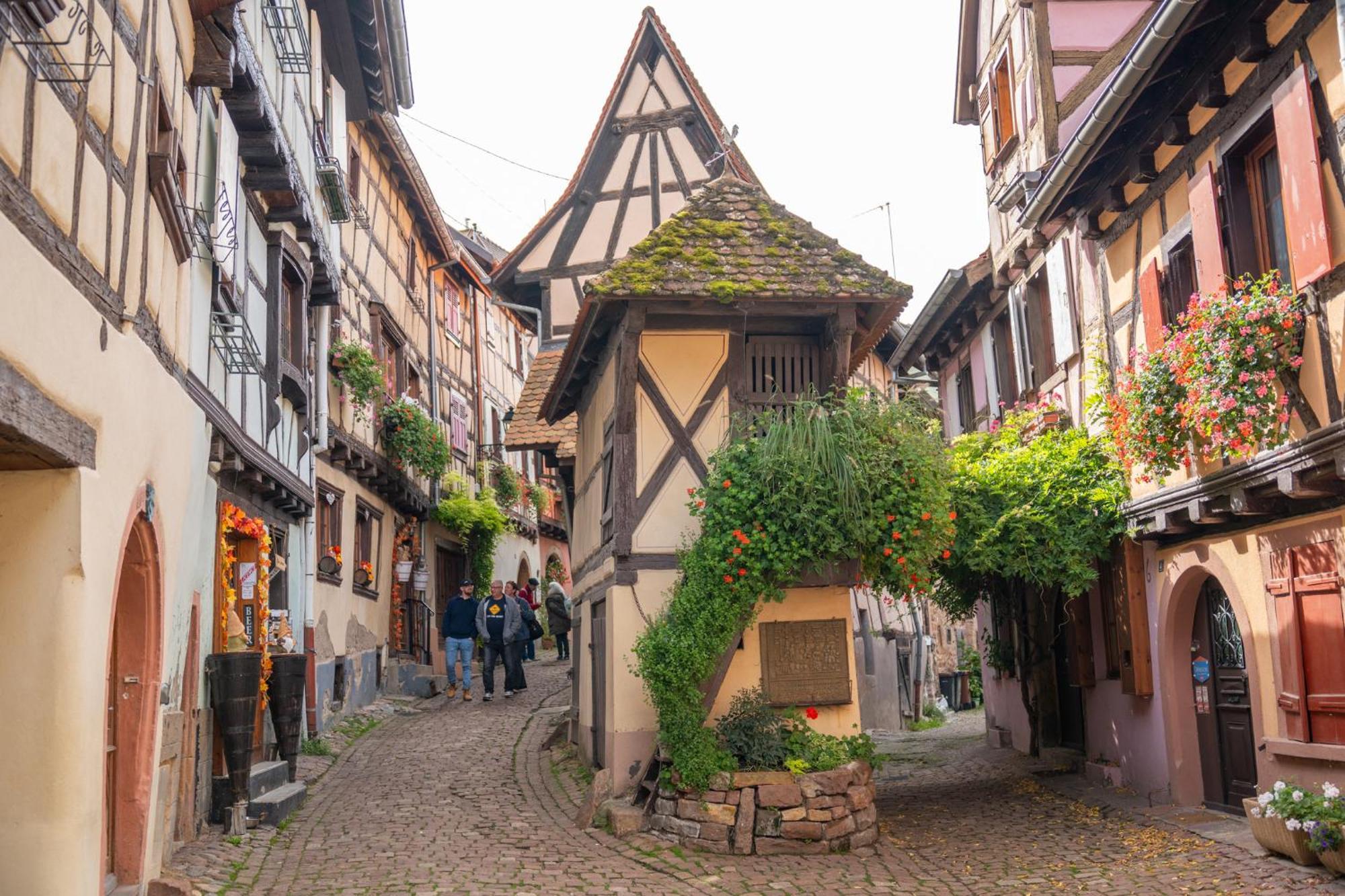 Chambre Rose Des Vents Eguisheim Kültér fotó