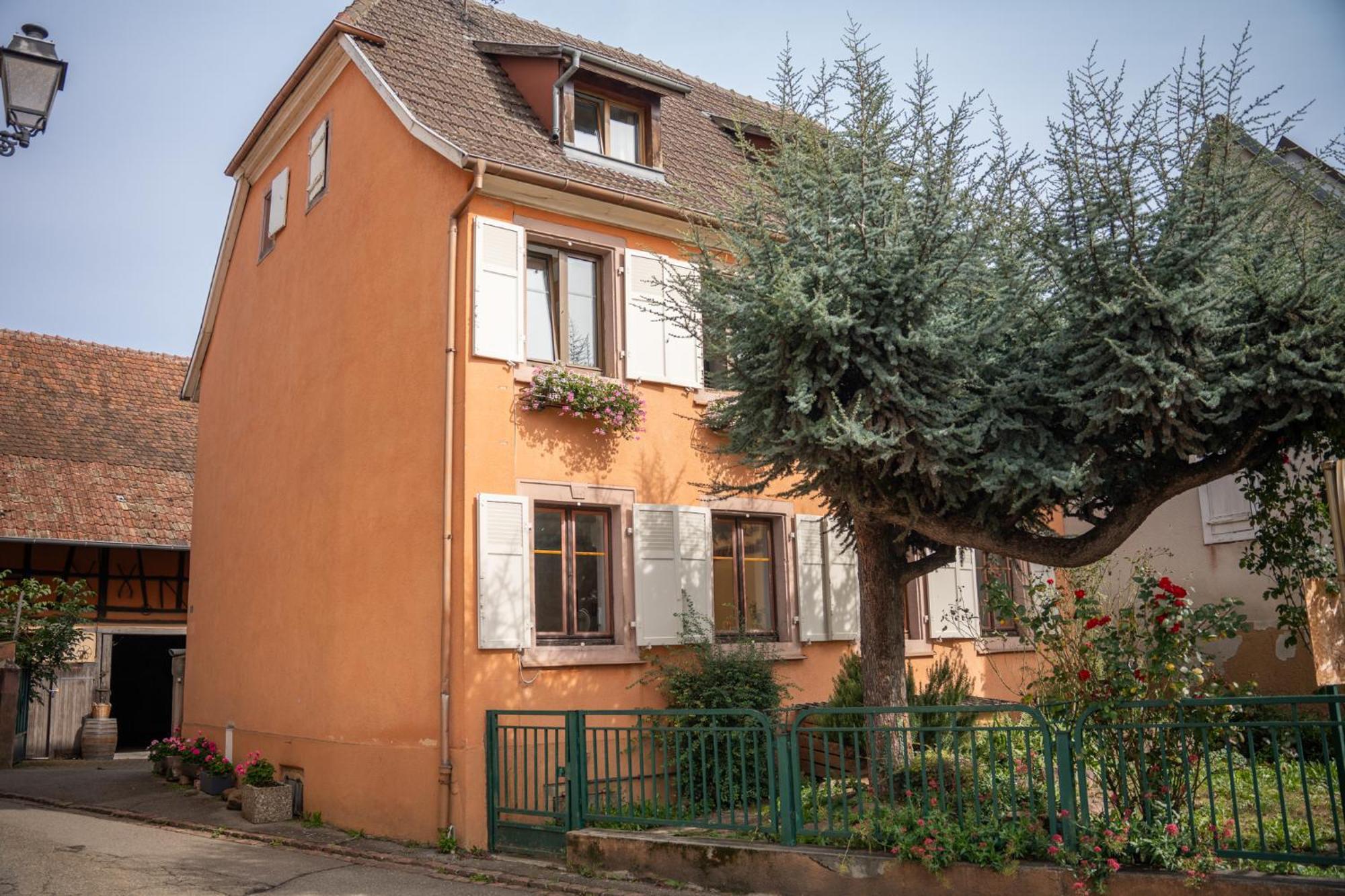 Chambre Rose Des Vents Eguisheim Kültér fotó